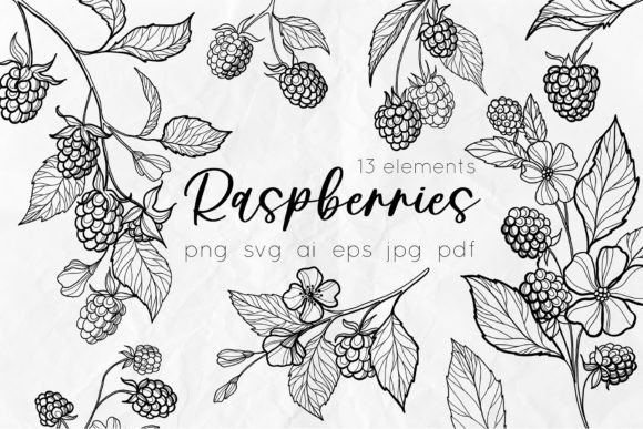 Download Raspberry Line Art SVG Drawings - Svg Collection